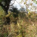 서광리-23 이미지