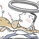 월악산건강원
