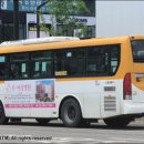 새소망치과의원 이미지