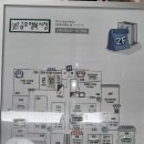 금호생선초밥 이미지