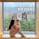 엄마의별장 | 양평 감성숙소 자쿠지 유주별장 나동 200일 아기랑 후기
