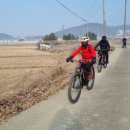 봉선화공원 Daum카페