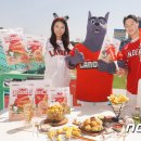 도그스낵 뉴스1