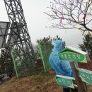 암태중학교 이미지