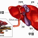 다니엘종합병원 이미지