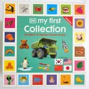 영어 입문 | DK My First Collection 10권 세트 후기｜돌 전후 영어 입문 실사 그림책
