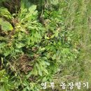 영부농장 이미지