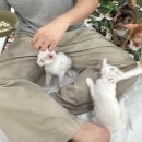 가창농업협동조합 이미지