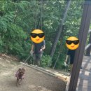 내유동문화공원