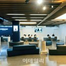 위니아SLS 이데일리