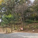 상사호 오토 캠핑장 | 순천 상사호오토캠핑장 G4 / 2박 3일 가을 캠핑 일기