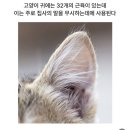 땅땅치킨 수유점 | 2025년 12월 결산 (1)