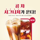 브라운슈가 이미지