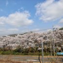 양지공원 다목적구장 이미지