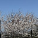 산바다캠핑장 이미지
