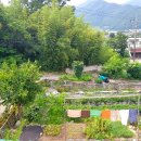 전망좋은민박 이미지