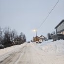 노르웨이식당 | 노르웨이 트롬쇠 피젤하이젠 전망대, 전망대 식당, 북극대성당 후기