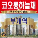 부평문화로216번길 이미지