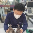 창생동물병원 이미지