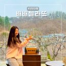 낙성농장 | 강원도 여행 양양 카페 배배젤라또 메뉴 주차