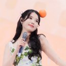 바이에잇 이미지