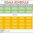 크로스핏 코알라 염창 이미지