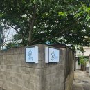 제주 동문시장 근처 북카페 &#39;무화과한입&#39;