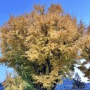 경기도 양평군 정배초등학교 이미지