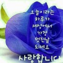 7월 19일 목요일~🌹 이미지