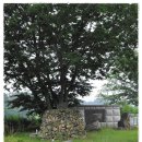 하로서원 이미지