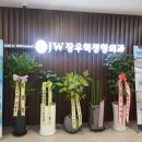 제이더블유(JW)장우혁정형외과의원 | 메리츠화재 _족저근막염 체외충격파 실비 청구한 후기