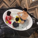 하비비무인텔 이미지