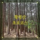 옹달샘약수터 | 등린이의 부산 황령산 일대기, 황령산 핫플 노상 맛집 옹달샘 후기(등산 초보 연산코스 추천)