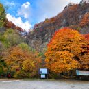 11월 2일 (목) 제473차 전북 무주군 적상산 향로봉(1.074m)단풍산행 이미지