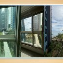 소유 오시리아 이미지