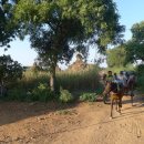 미얀마마을 이미지