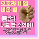 내돈내산 오호라 젤네일 패디 후기 / 네온 빔 / 똥손!너도 할 수 있어! / 오호라 4주년 역조공 / 너...