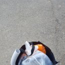 이화 신동아 파밀리에아파트 이미지