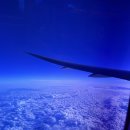 도브(Dove)호텔 | 케왈로 베이슨 공원, 쉐라톤 프린세스 카올라니 호텔, 치즈케이크 팩토리, 케이준 크랩 와이키키...