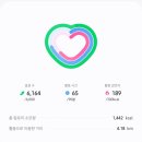 왈왈이 - 원주시 | 왈왈이