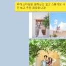 드높 | 전주 웨딩촬영 부케 드높 플라워 스튜디오 내돈내산 후기