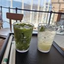 이젠카타운 | [춘천 여행 추천] 춘천 뷰 맛집 삼악산 케이블카, 스타벅스 의암호점 코코말차 솔직 후기