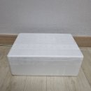 성공시대민박 | [제주 블루베리 택배] 포도인지 블루베리인지 긴가민가하게 만드는...히끄네농장 블루베리 구입 후기