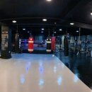 칠곡MS복싱 이미지