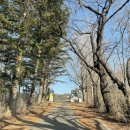 장수골길(와룡면) 이미지