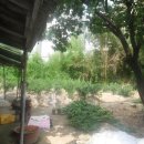 서구-01-06 이미지