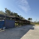 C16 | 영종도 씨사이드 캠핑장 C구역 C16 후기 내돈내산