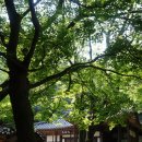 보성열화정>이진래고택 이미지