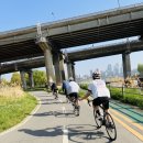 시우리 | 자전거 입문자 데이트 코스 팔당역, 시우리 라이딩 후기 GPX 파일 첨부