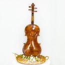 바이올린(중급) 이미지